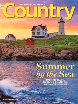 cover image of Country
